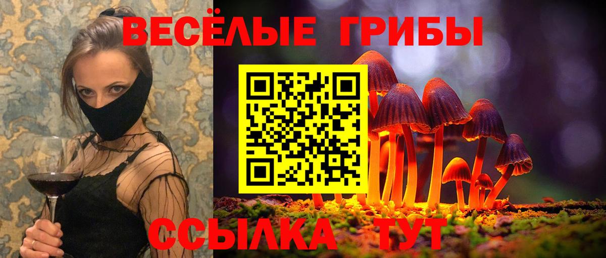 Псилоцибиновые грибы мухоморы Егорьевск