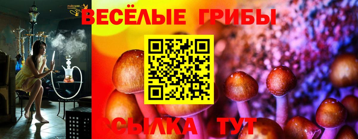 Галлюциногенные грибы Cubensis  цена наркотик  Вход с VPN  Егорьевск  Псилоцибиновые грибы мухоморы 